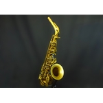 EAS-652RL _DEMO Eastman EAS-652RL Professional Alto Saxophone Demo
